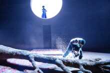 All My Sons All My Sons