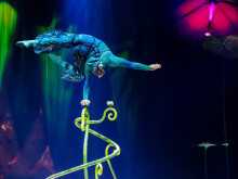 OVO - Cirque du Soleil