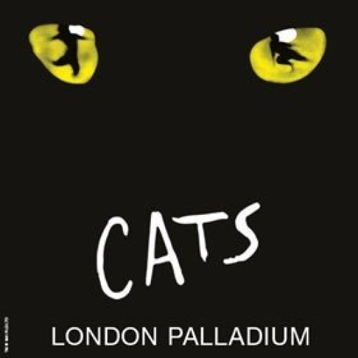 Cats Cats