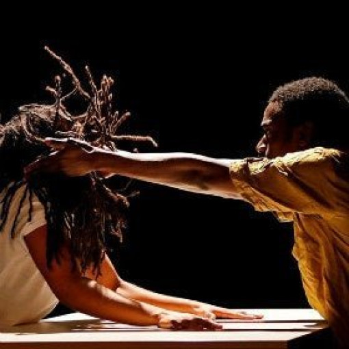 Danse Élargie - Dance Expanded Danse Élargie - Dance Expanded