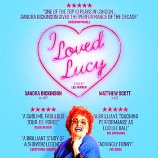 I Loved Lucy I Loved Lucy