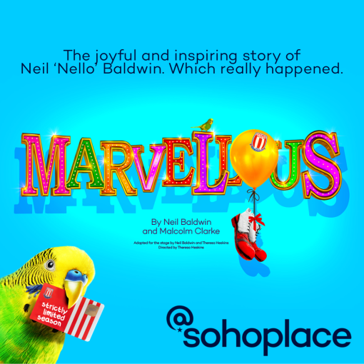 Marvellous Marvellous