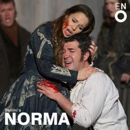 Norma Norma