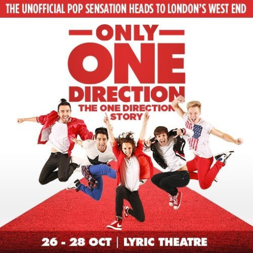 Only One Direction - The One Direction Story Only One Direction - The One Direction Story